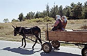 Bulgarian farmers